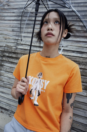 SAN SAN GEAR X KOESY